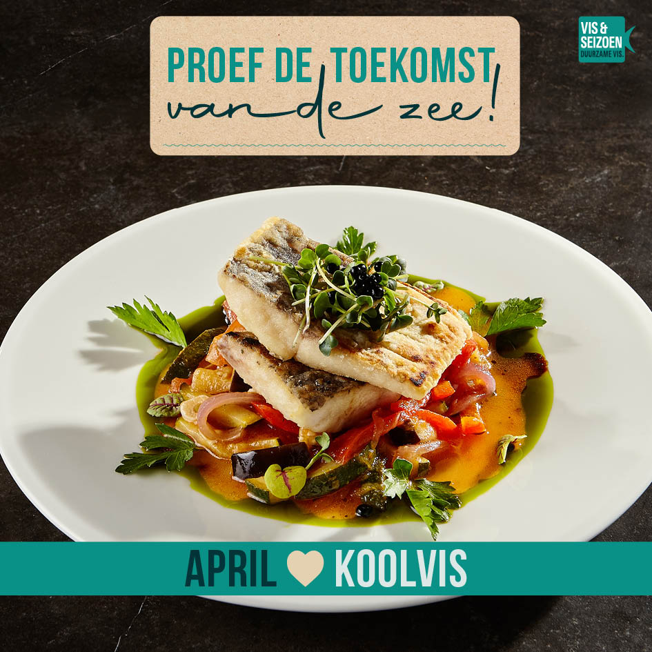 MSC Koolvis; de rockster van de oceaan 