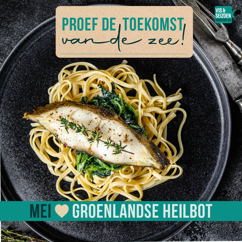 Groenlandse Heilbot; een meester in camouflage