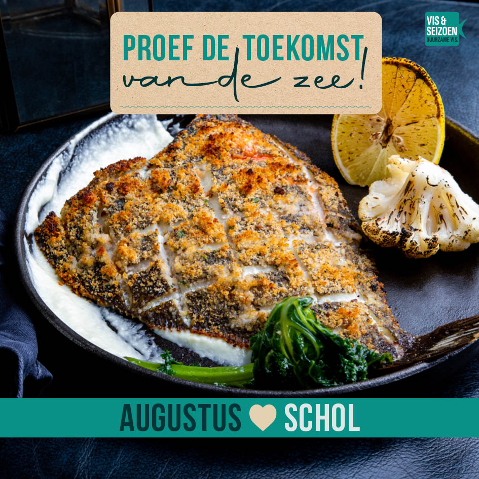 De zon op je bol? Dan eet je schol!