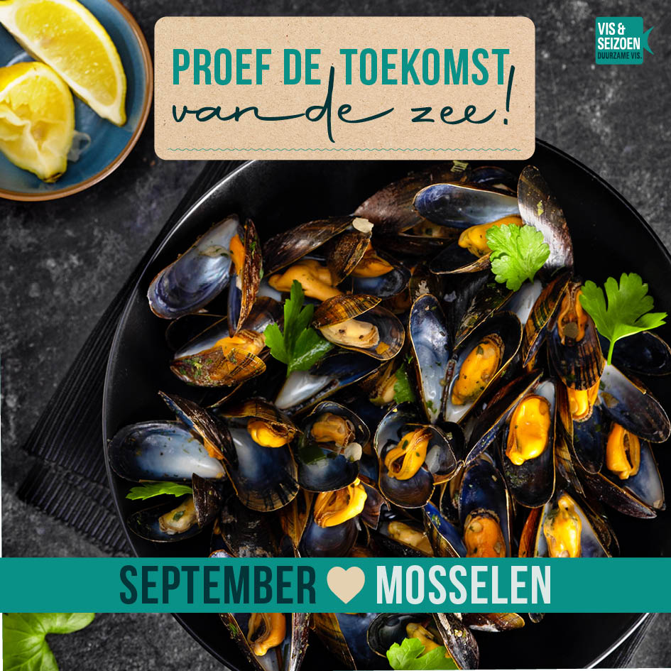 Bodemcultuur of hangcultuur mosselen? Hoe zit het ook alweer?