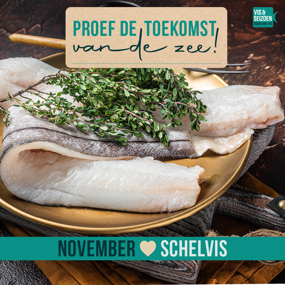 Ontdek de smaak van Schelvis