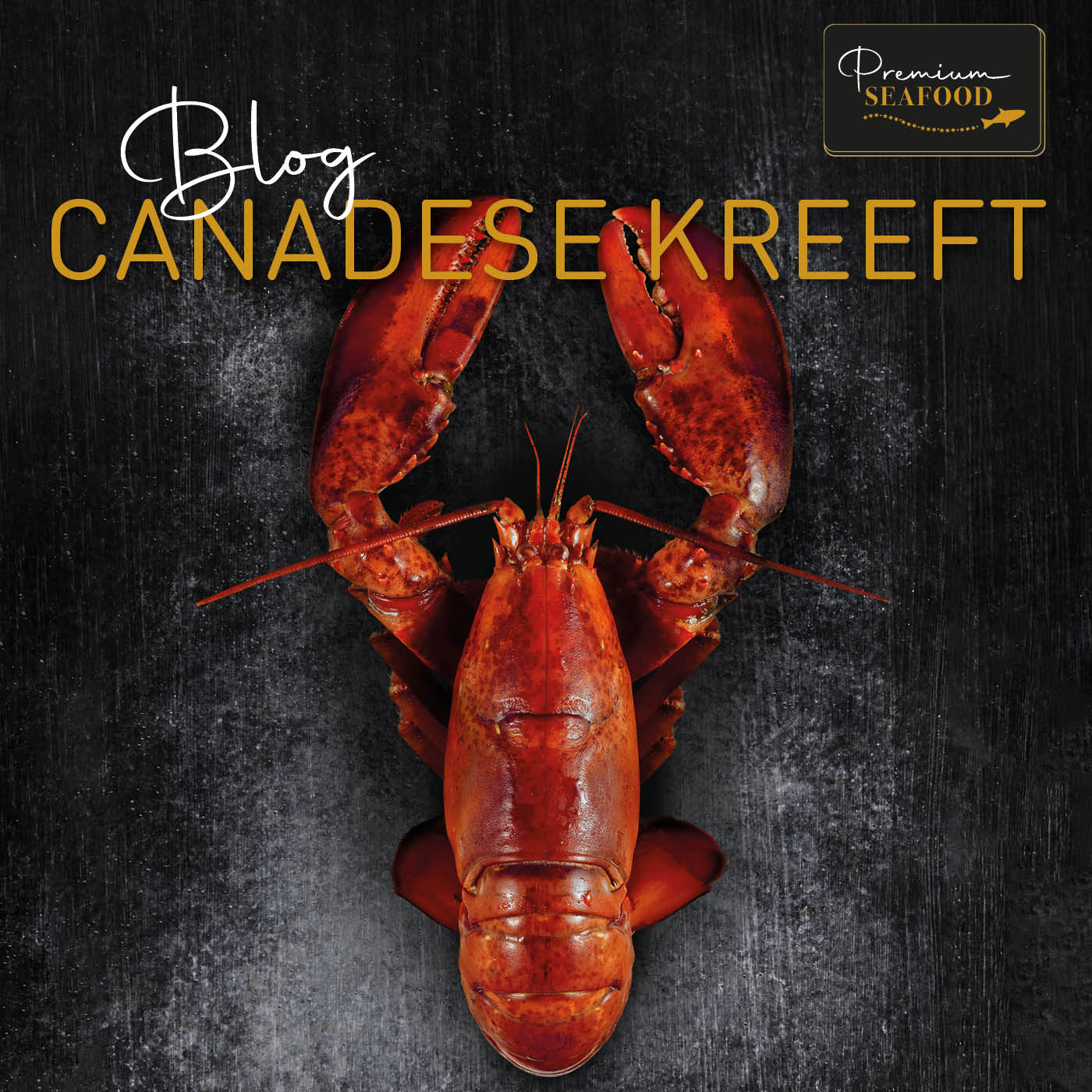 Canadese Kreeft; Luxe op je bord