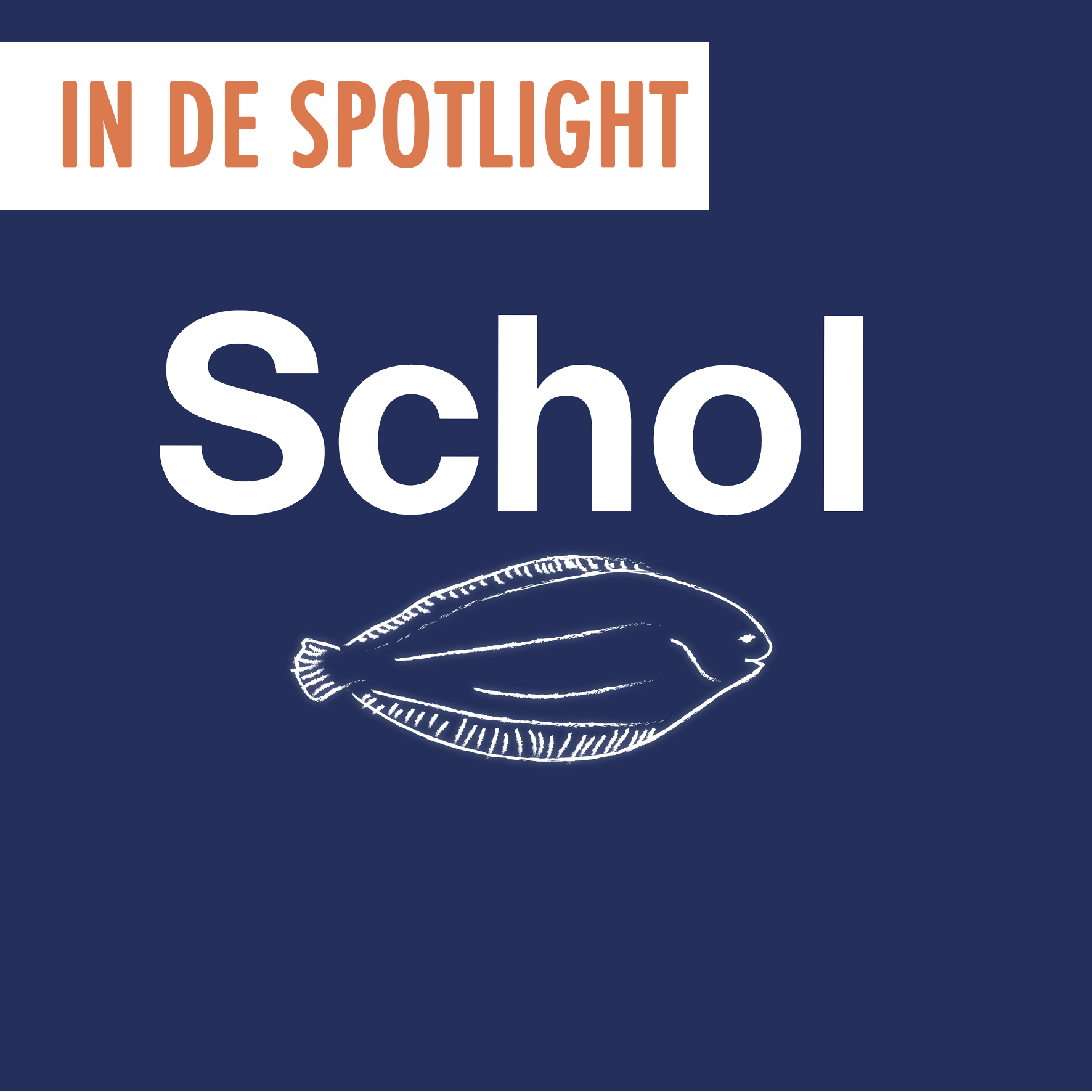Spotlight van de maand juli: schol!