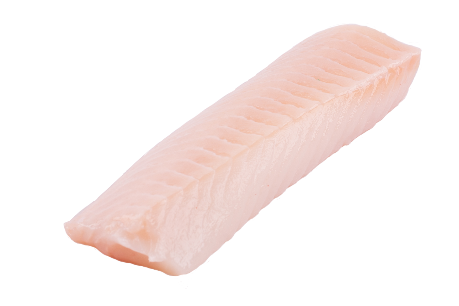 Zeewolffilet portie