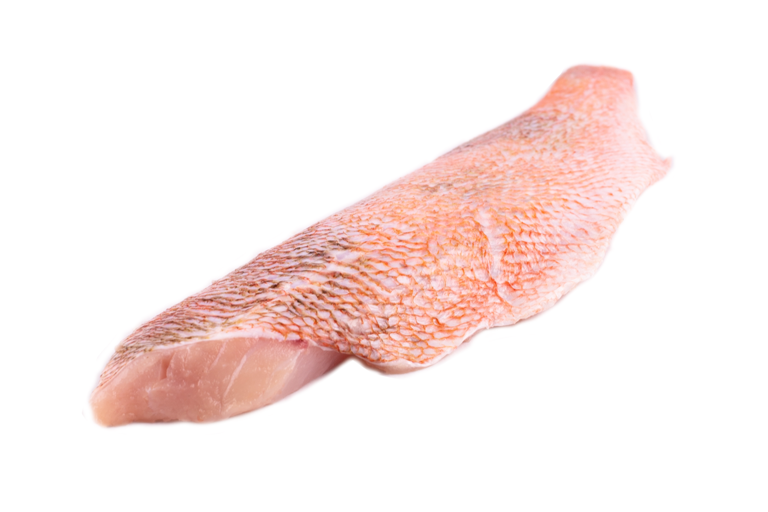 Roodbaarsfilet met vel geschubd graatloos