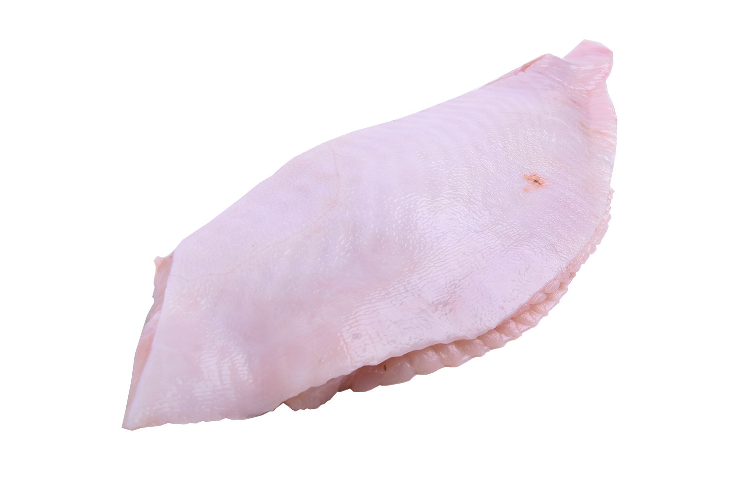 Tarbotfilet Spaans met vel uit 2-3kg