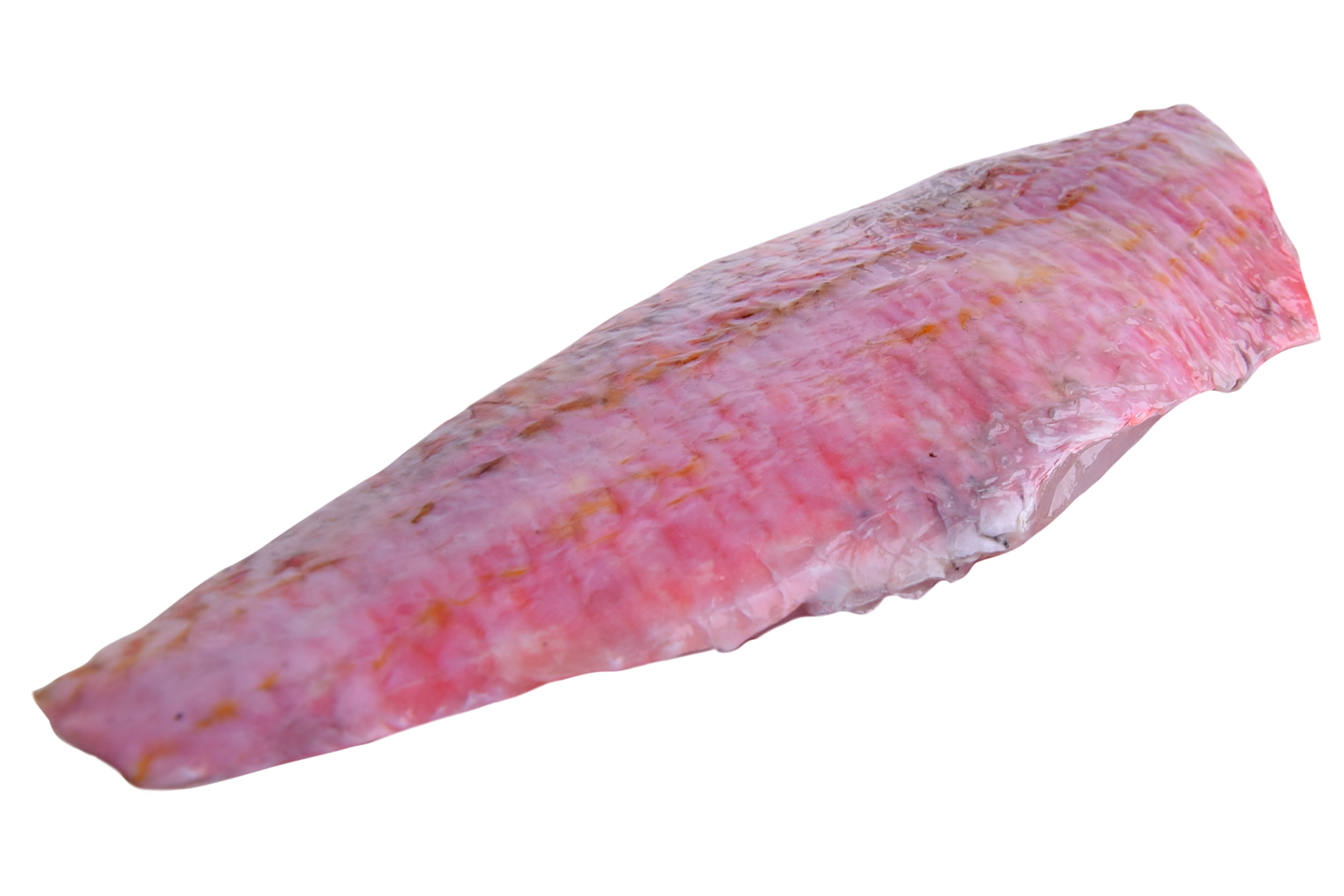 Rougetfilet met vel geschubd uit 200-300 gr