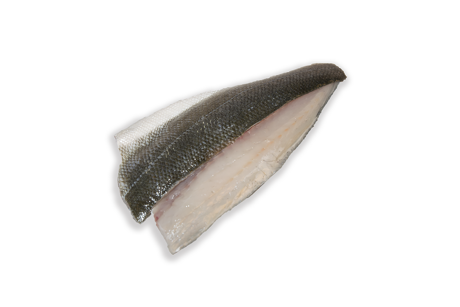 Zeebaarsfilet met vel geschubd uit 1500-2500gr