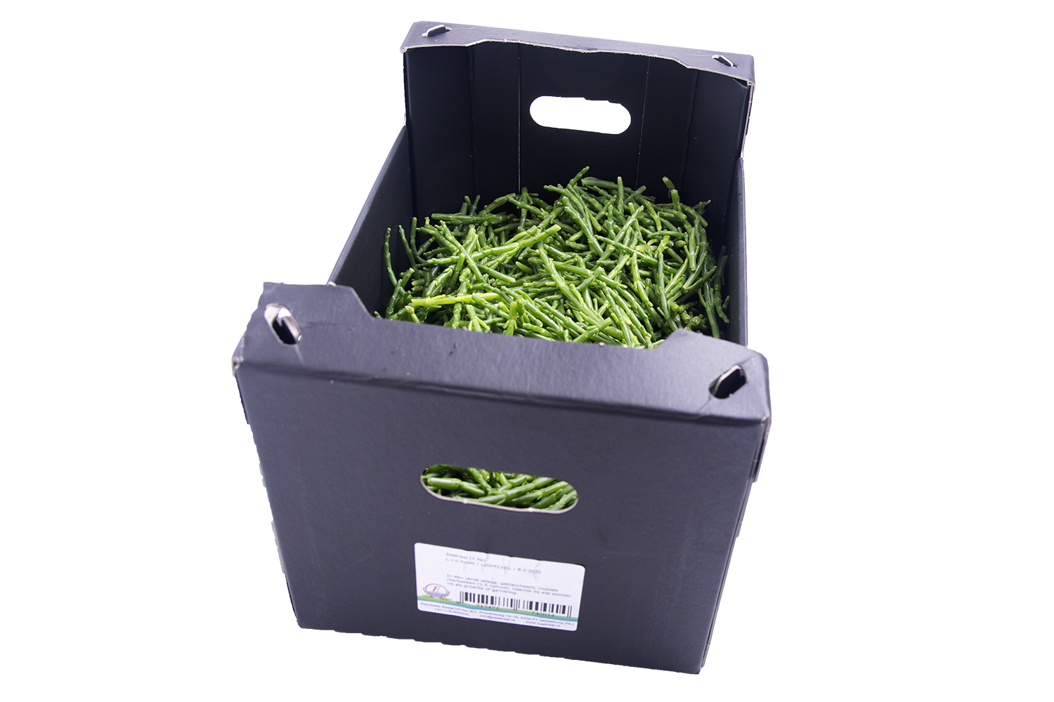 Zeekraal 1 kg