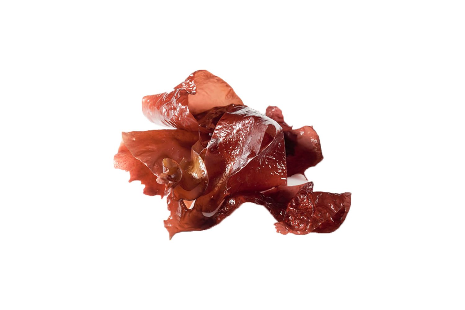 Zeewier dulse bak 1 kg NL-BIO-01