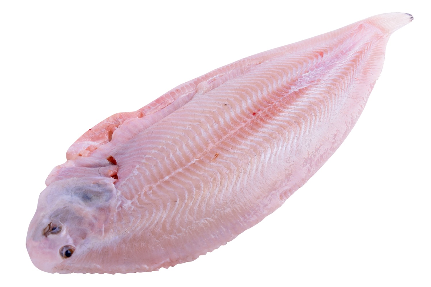 Tong schoon uit 400-450gr