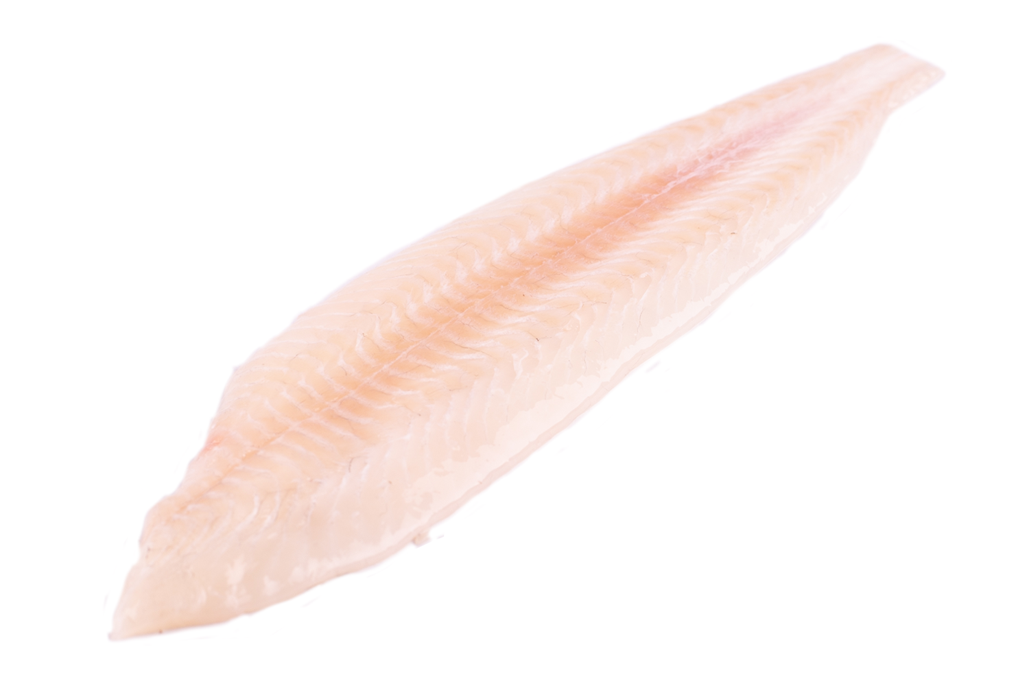 Tongfilet dubbel 60gr