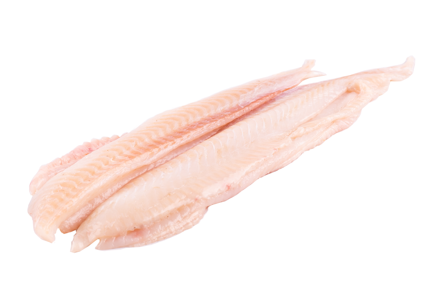 Tongfilet middel 60-90gr