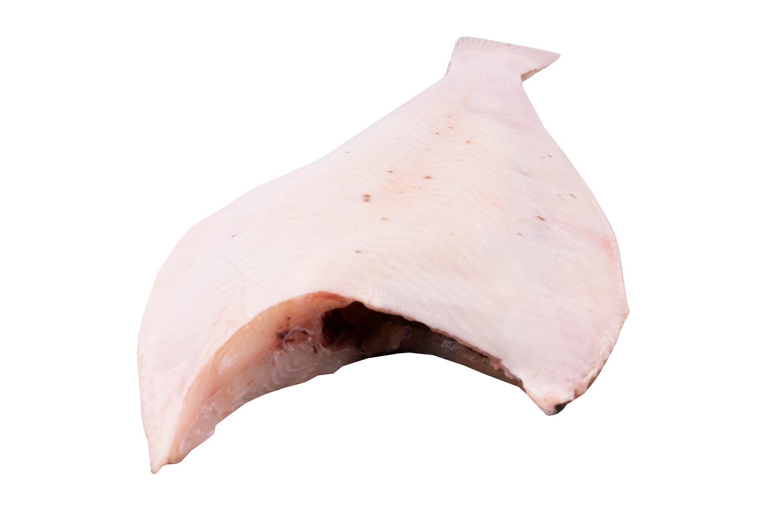 Schol panklaar uit 400-600gr