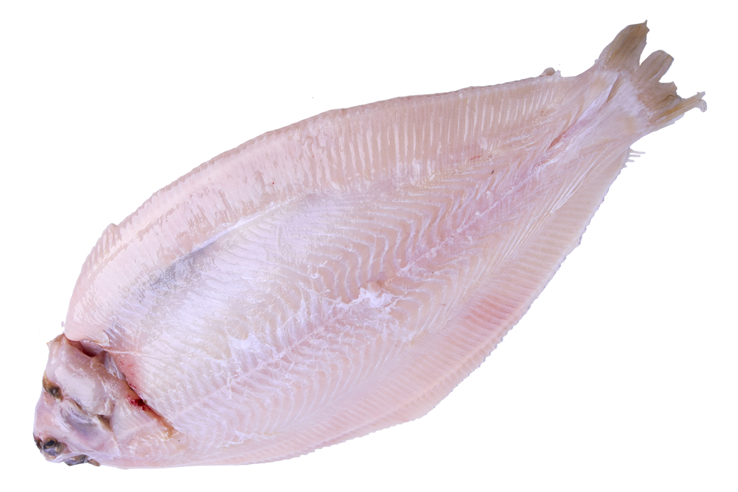 Tongschar schoon uit 500-600gr