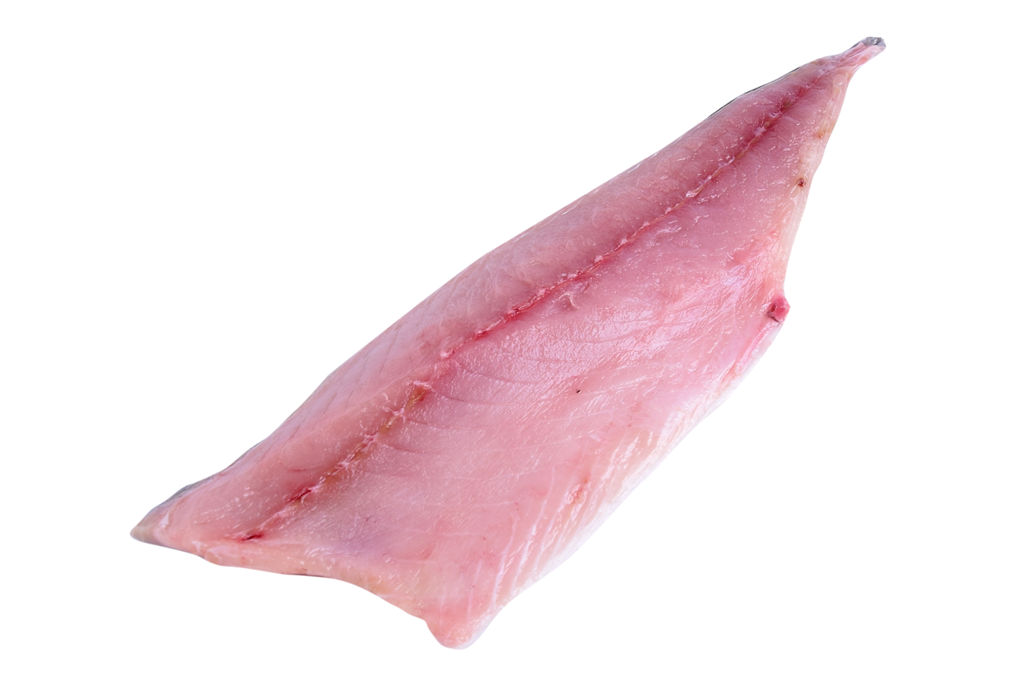 Makreelfilet met vel