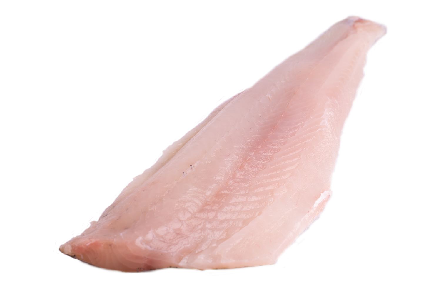 Snoekbaarsfilet met vel geschubd uit 1-2kg