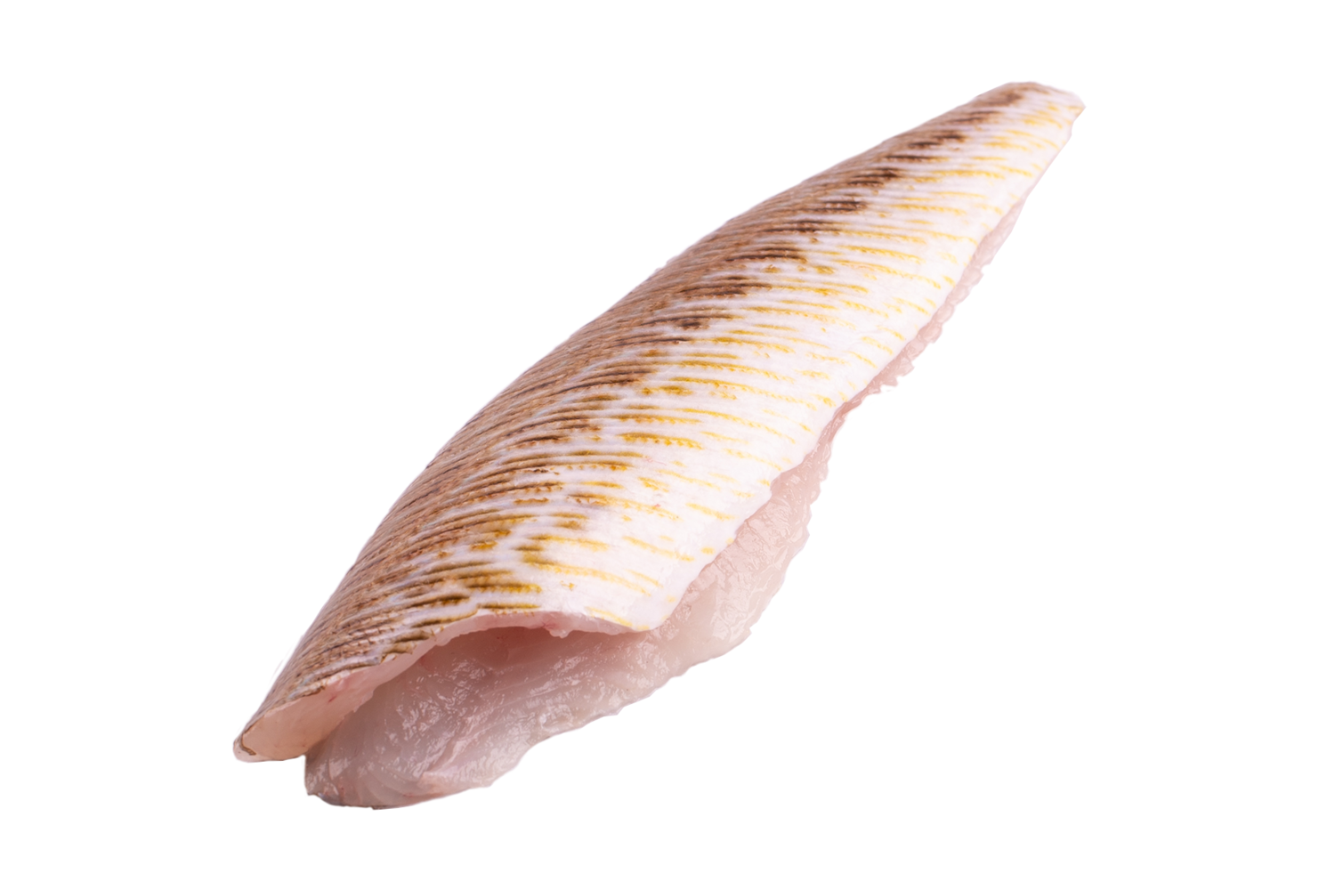 Pietermanfilet met vel