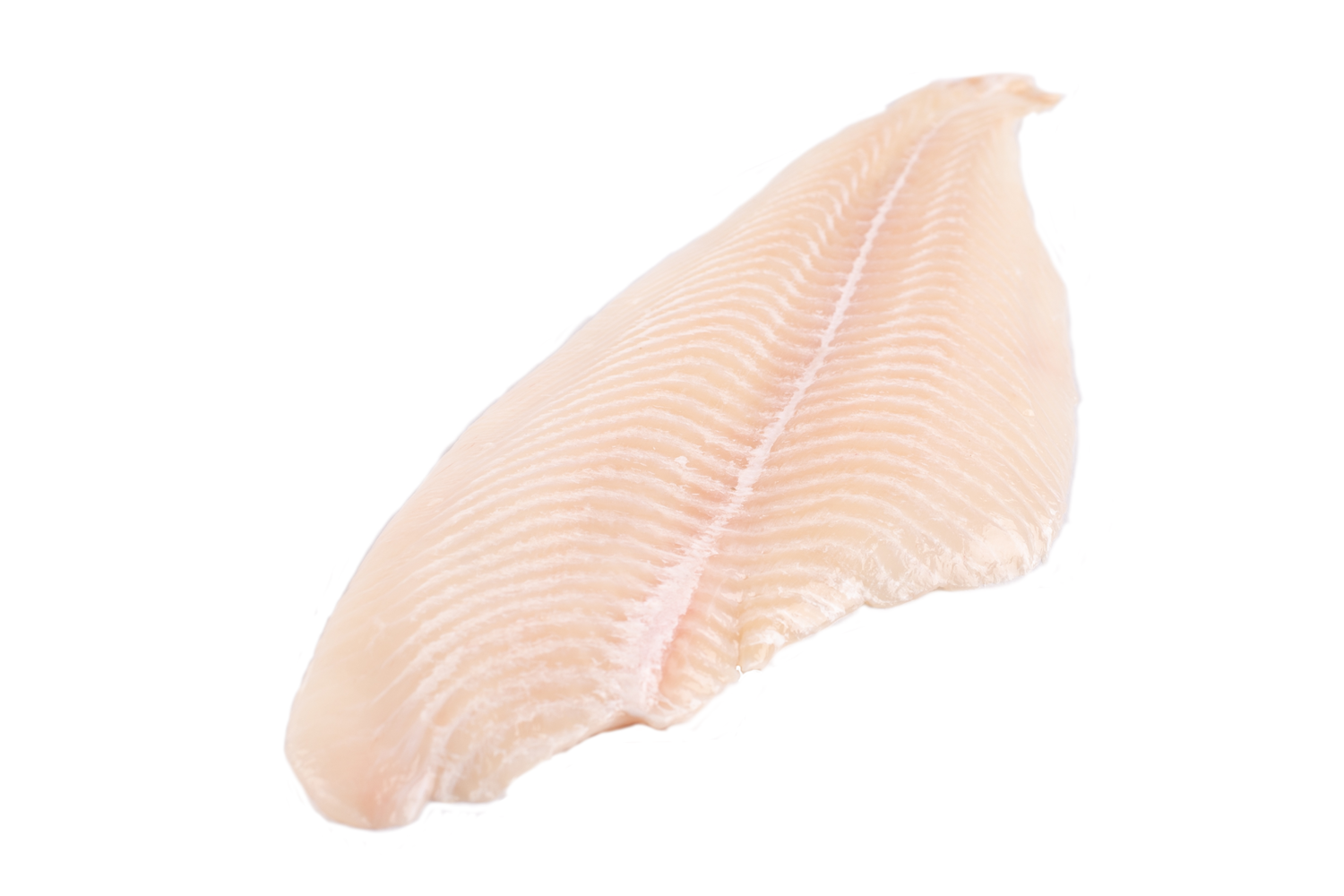 Scholfilet 120-160gr doos 5kg diepvries