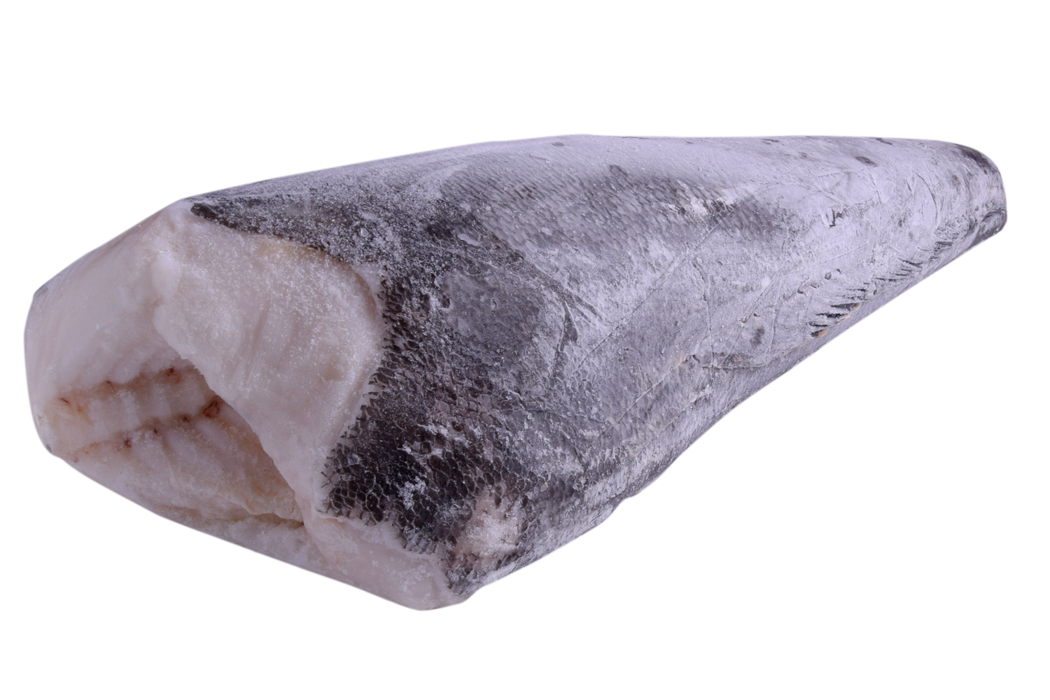 Toothfish heel zonder kop 6-8kg diepvries