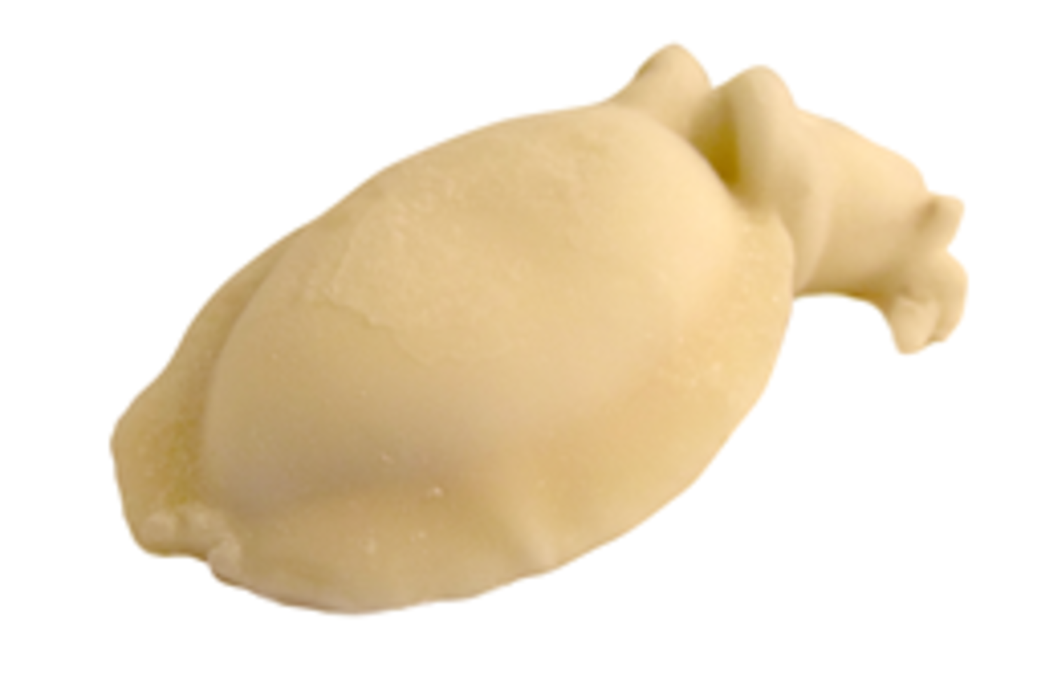 Sepia schoon 1-2kg diepvries