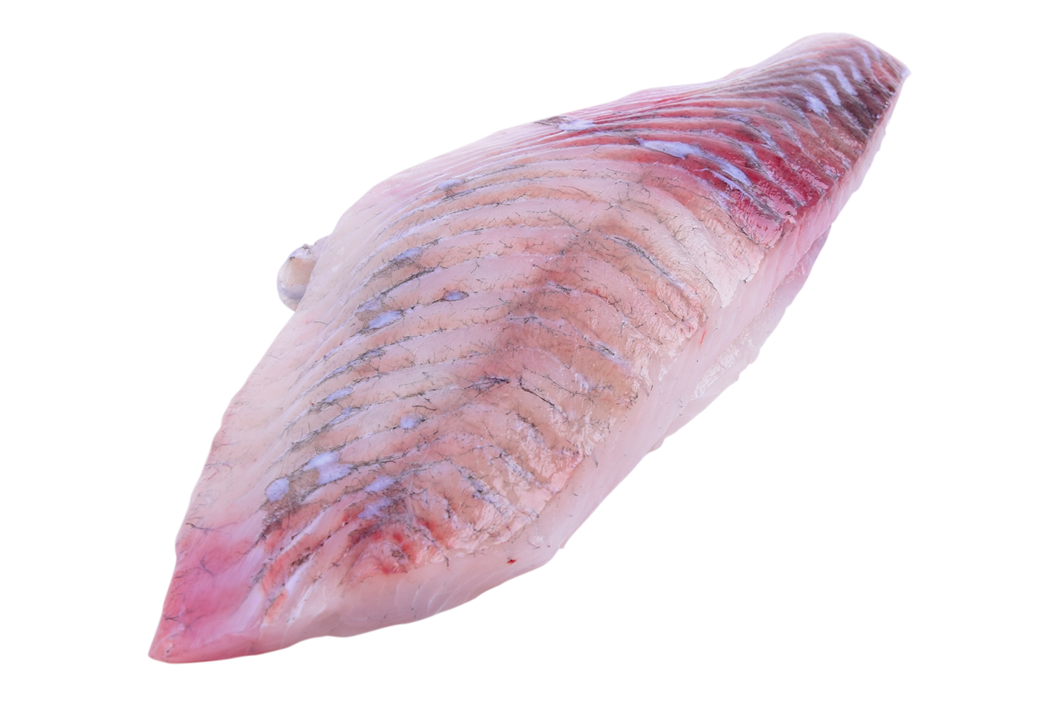 Tarbotfilet kweek zonder vel uit 3-4kg