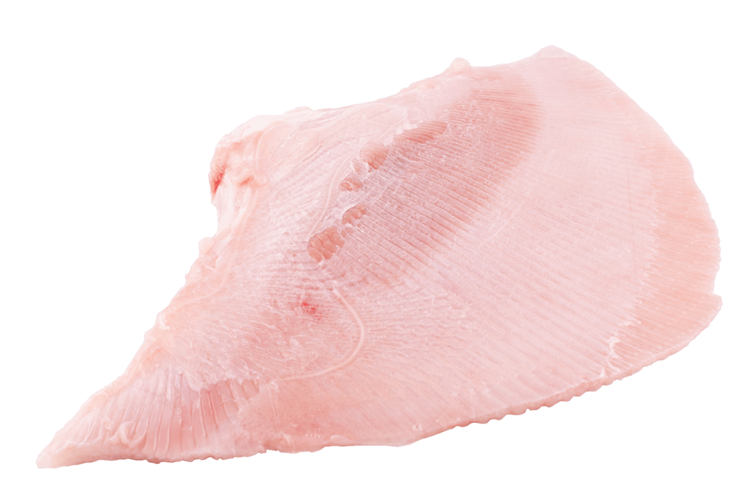 Rogvleugel zonder vel uit 600gr+