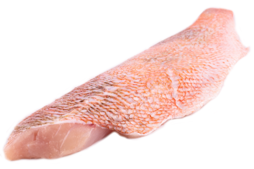 Redfish fillet with skin scales off and boneless 