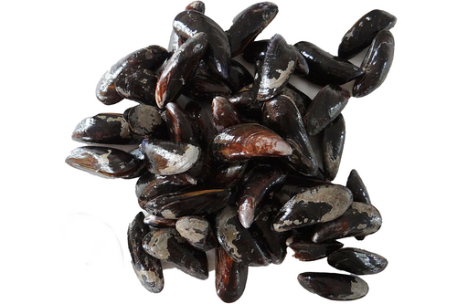 Mussels Bouchot baal 5kg 