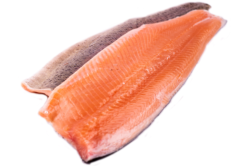 Salmon trout fillet with skin from 500-700gr