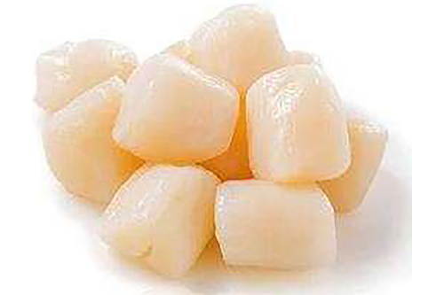 Scallop meat Canadian royal catch MSC can 1,8kg 