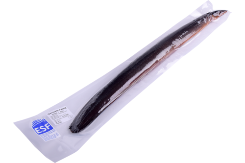 Eel smoked vac.packed/piece 500-800gr