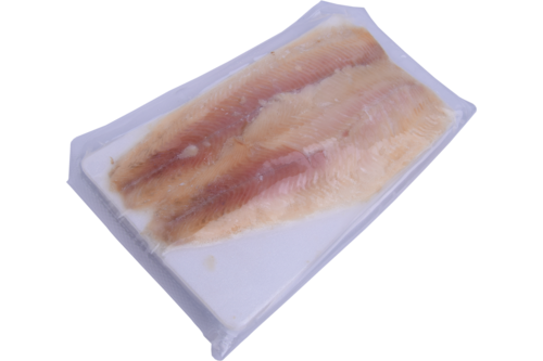 Trout fillet smoked/2pc vac.packed frozen