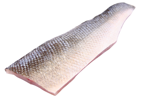 Wild sea bass fillet with skin scales off 600-1000