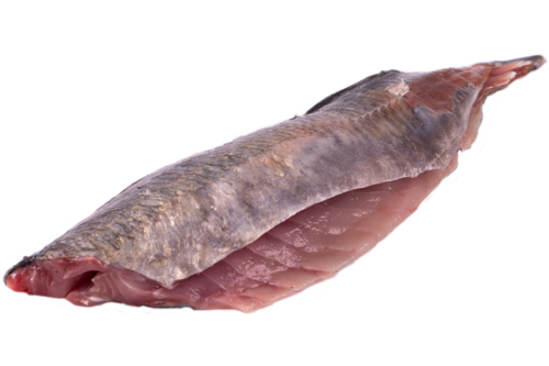 Horse mackerel fillet with skin 