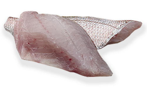 Seabream royal fillet with skin wild from 2-3kg