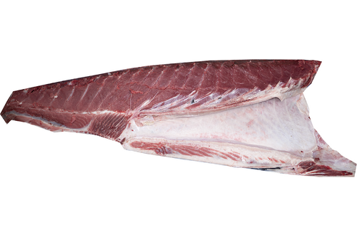 Bluefin tuna fillet bellypiece with skin AFM 