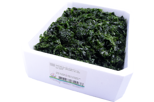 Seaweed sealettuce pack 500gr
