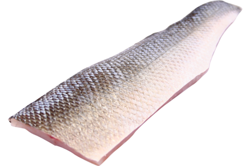 Wild seabass fillet with skin scales off 3 kg 