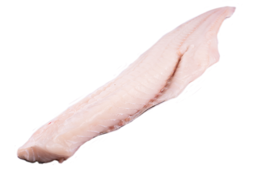  Codfish fillet MSC with skin large w/o belly/bone