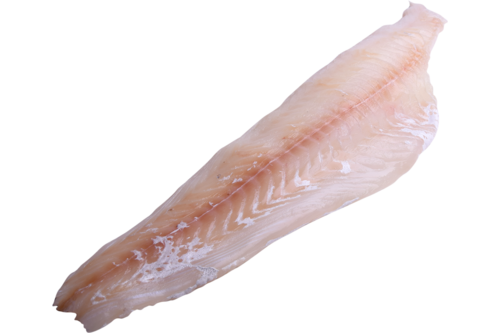 Haddock fillet without skin boneless