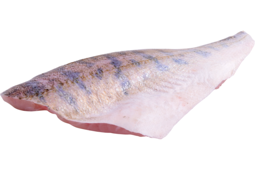 Pikeperch fillet wild with skin scales off small