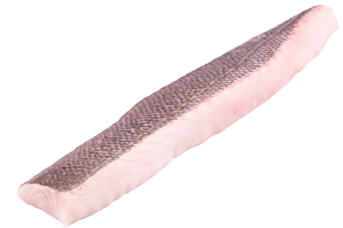 Hake loin with skin scales off 