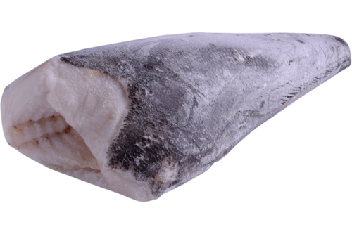 Toothfish whole w/o head 6-8kg frozen