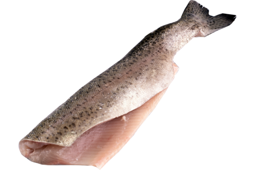 Trout fillet with skin