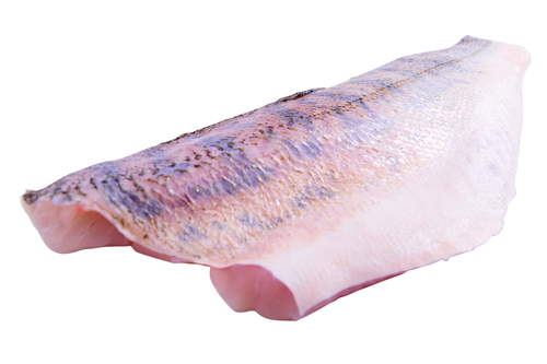 Pikeperch fillet wild with skin scales off from 2k