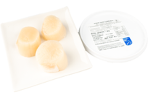 Scallops Japanese Fresh 1 Kg