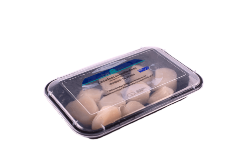 MSC Scallop meat Canadian Royal Catch container 10