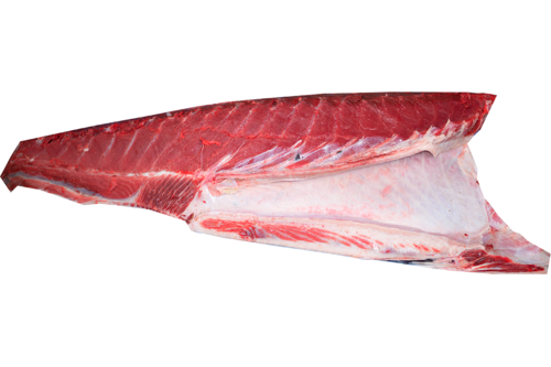 Bluefin tuna fillet bellypiece with skin AFM 