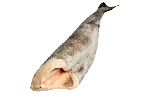 Farmed black cod 1-3 kg